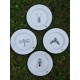 MUG CUP INSECTS 0.50 L